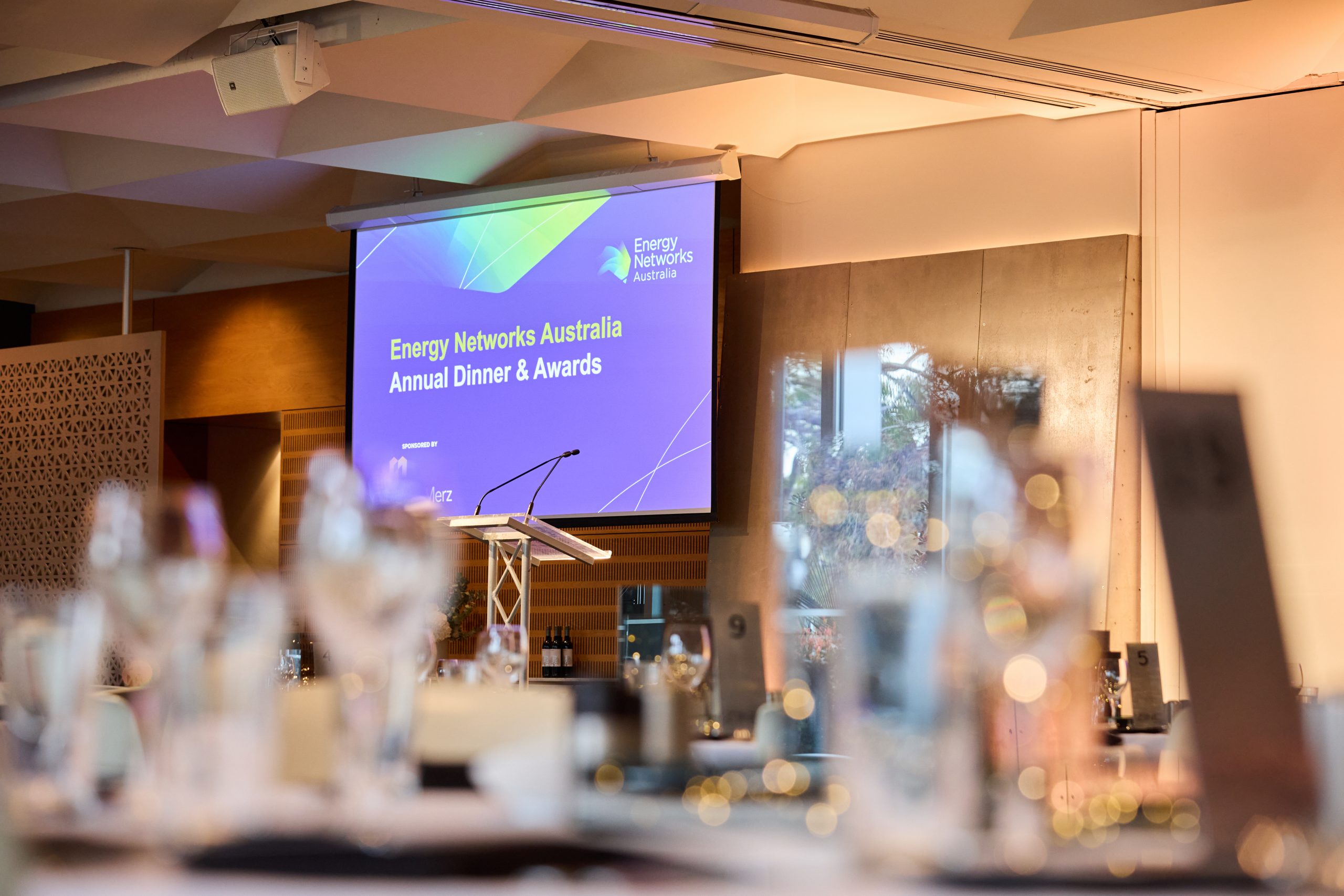 Award winners up in lights | Energy Networks Australia