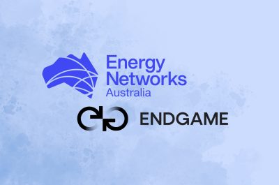 ENA ENDGAME website (2)