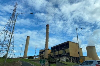 Generation Generation