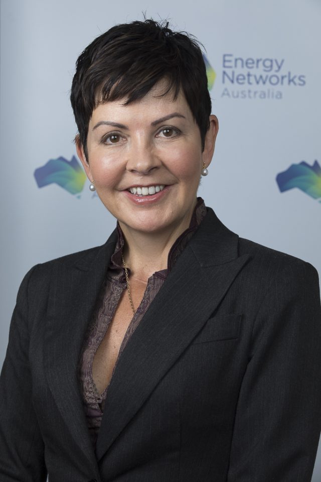 ENA Portrait, Canberra, ACT, 28 November, 2018 for Energy Networks Australia, photo by Geoff Comfort 02 6286 1688, Canberra Photographer ENA Portrait, Canberra, ACT, 28 November, 2018 for Energy Networks Australia, photo by Geoff Comfort 02 6286 1688, Canberra Photographer