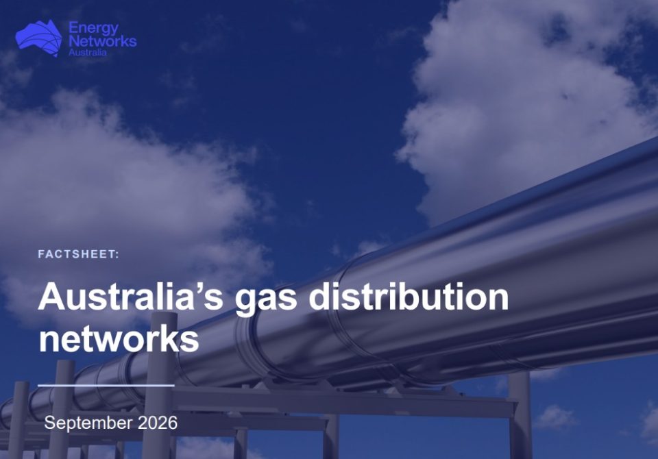 gas fact sheet gfx
