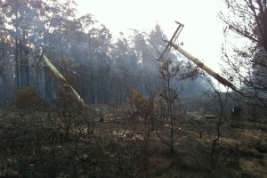 hangingpolesalongsidearthurhighway_5jan2013_photographermikelarkinofauroraenergy_smaller hangingpolesalongsidearthurhighway_5jan2013_photographermikelarkinofauroraenergy_smaller