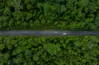 EV drives through a forest EV drives through a forest