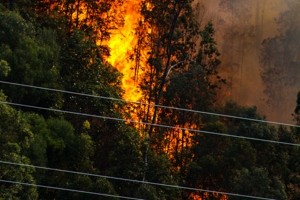istock-462049421_-_electricty_wires_near_bushfire_smaller istock-462049421_-_electricty_wires_near_bushfire_smaller